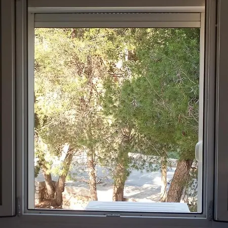 Sea View Eye Of Apartment